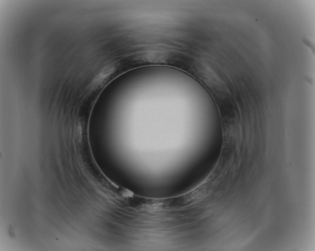 X0000097790120200803141838