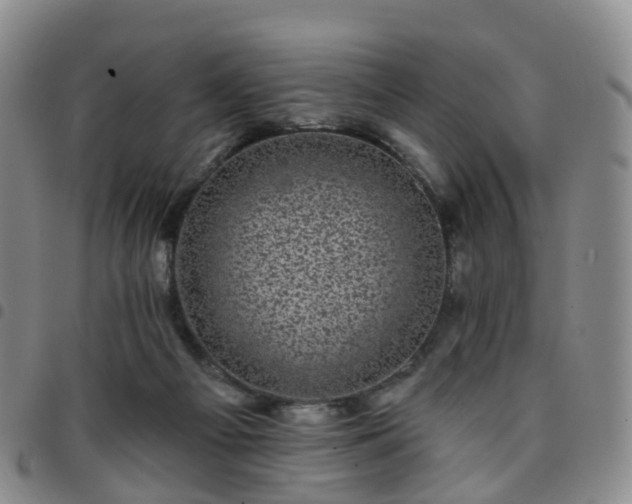 X0000097790121200803141838