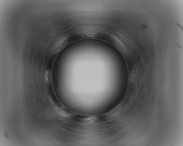 X0000097790122200803141838