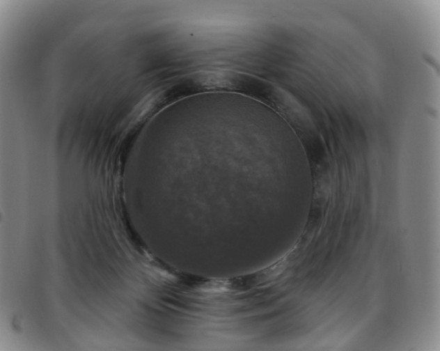 X0000097790124200803141838