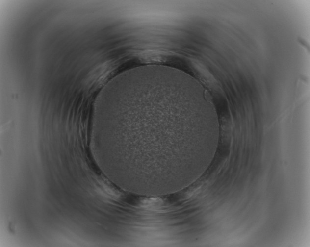X0000097790125200803141838