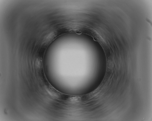 X0000097790126200803141838