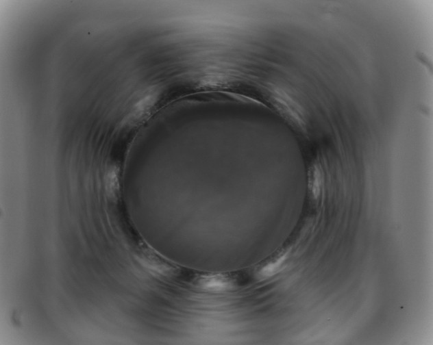 X0000097790127200803141838
