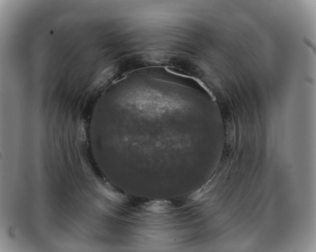 X0000097790128200803141838