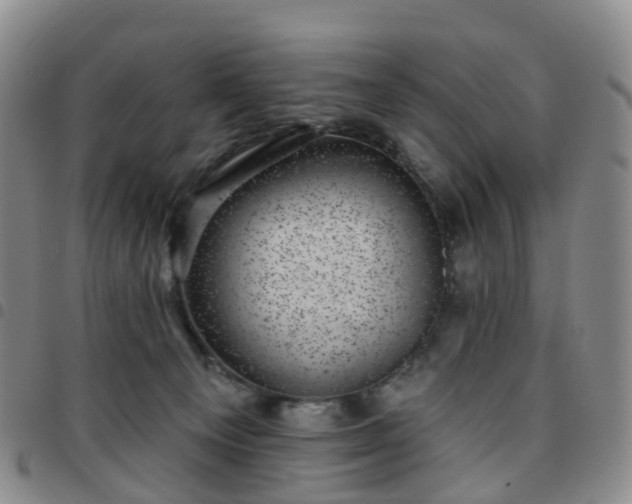 X0000097790129200803141838