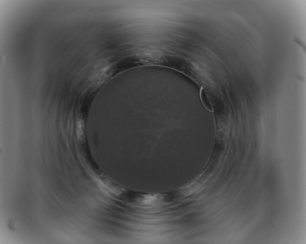 X0000097790130200803141838
