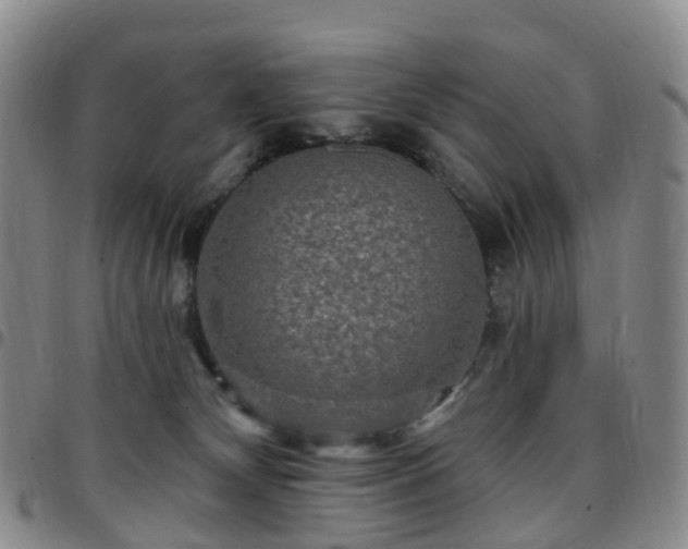 X0000097790132200803141838