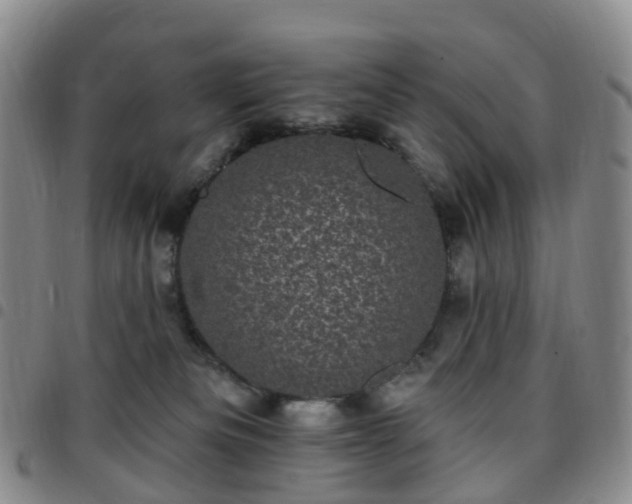 X0000097790133200803141838