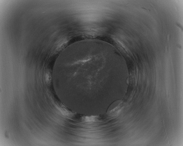 X0000097790134200803141838