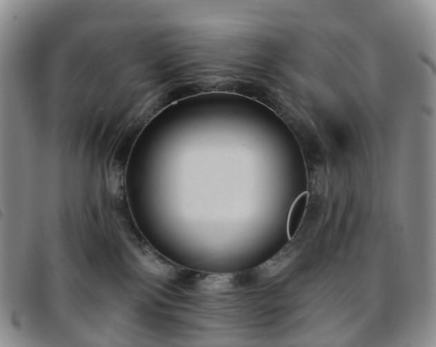 X0000097790138200803141838