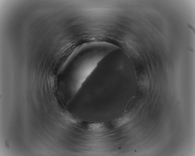 X0000097790139200803141838