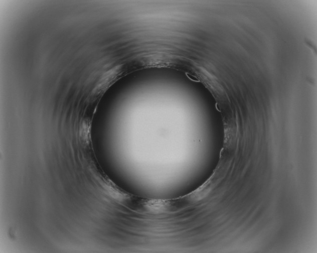 X0000097790142200803141837