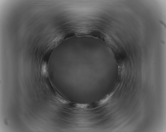 X0000097790143200803141837