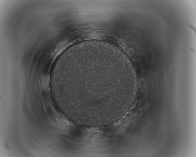 X0000097790146200803141837