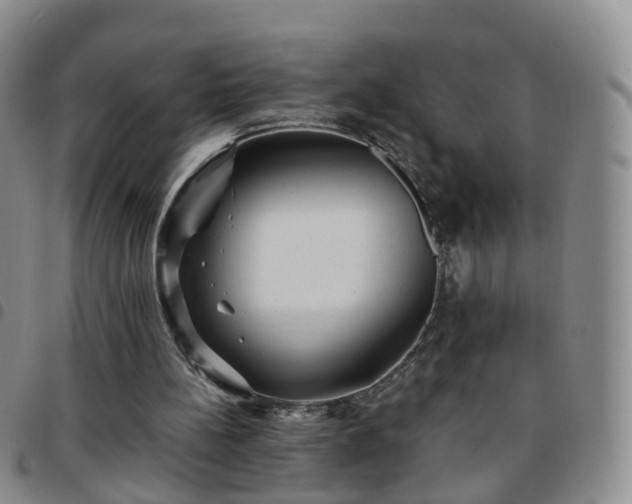 X0000097790148200803141837