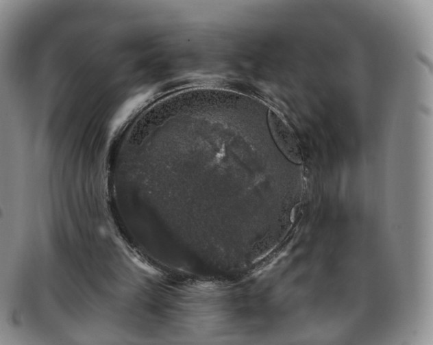 X0000097790149200803141837