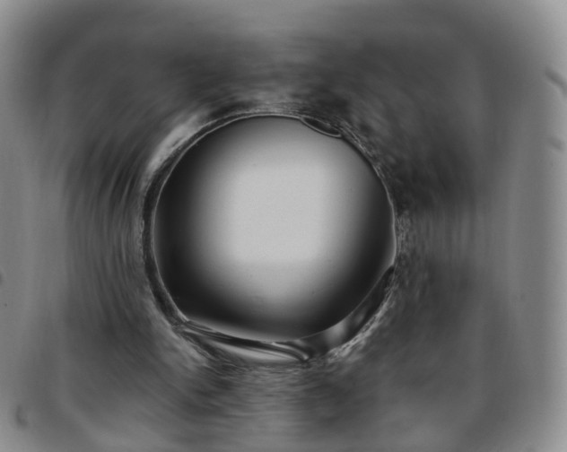 X0000097790150200803141837