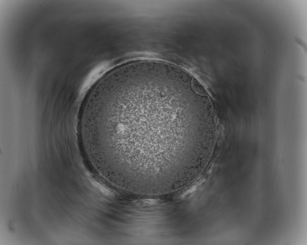 X0000097790151200803141837