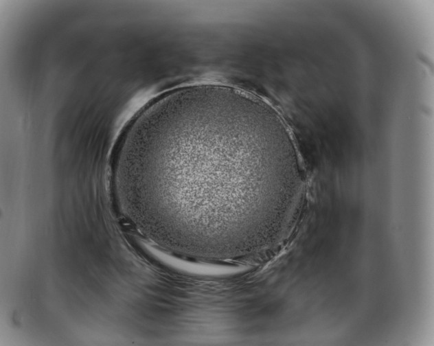 X0000097790152200803141837