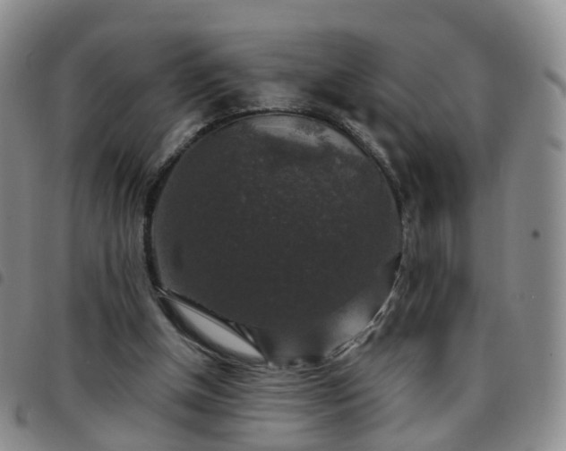 X0000097790154200803141837
