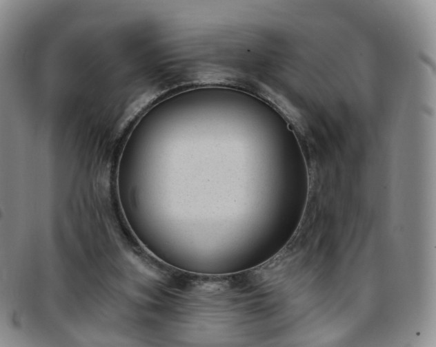 X0000097790155200803141837