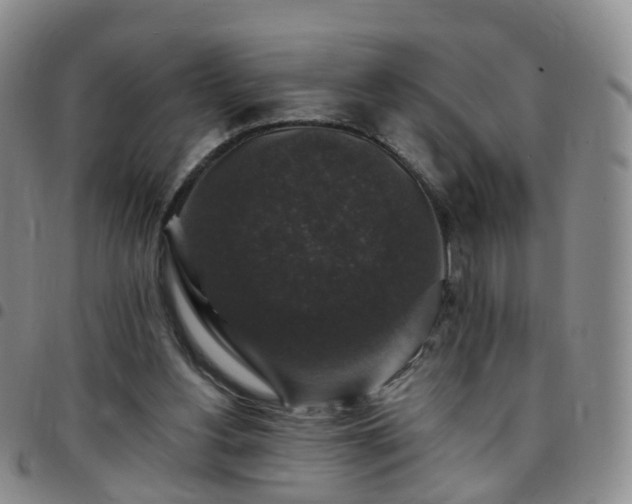 X0000097790156200803141837