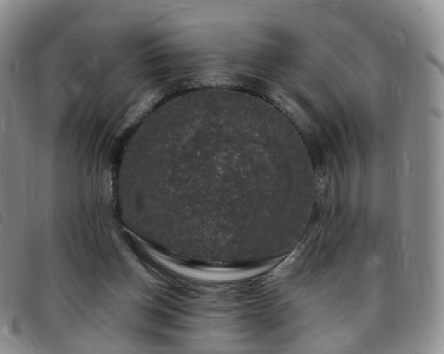 X0000097790158200803141837