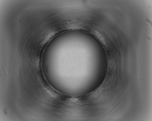 X0000097790159200803141837