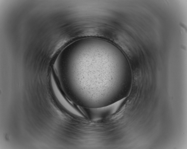 X0000097790160200803141837