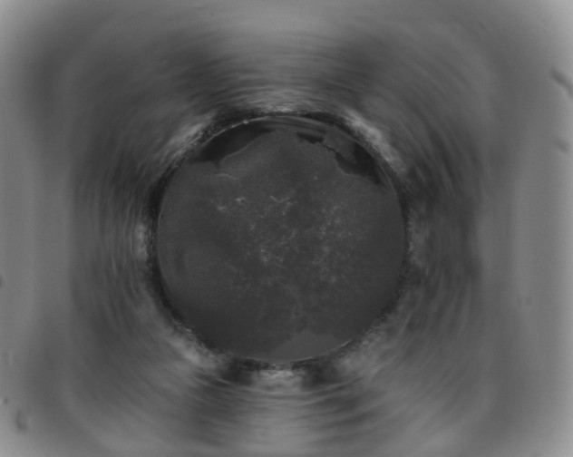 X0000097790161200803141837