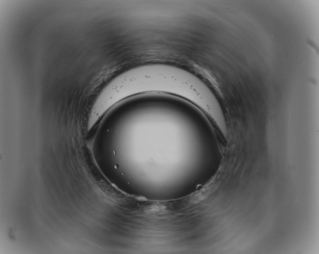 X0000097790162200803141837