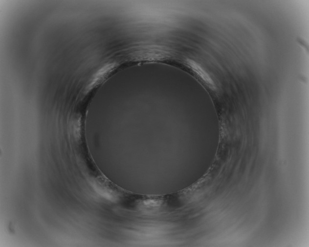 X0000097790163200803141837