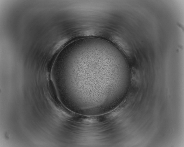 X0000097790164200803141837