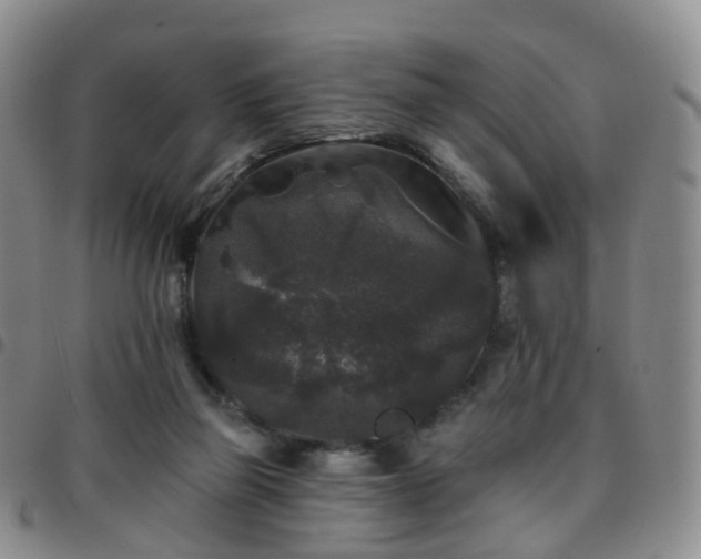 X0000097790165200803141837