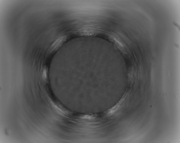 X0000097790166200803141837