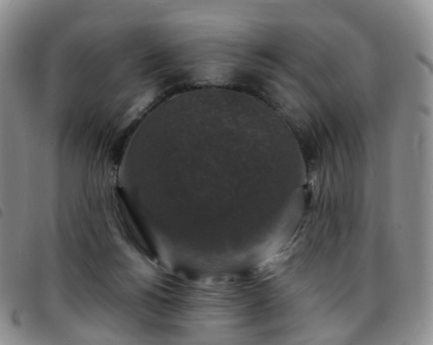 X0000097790168200803141837