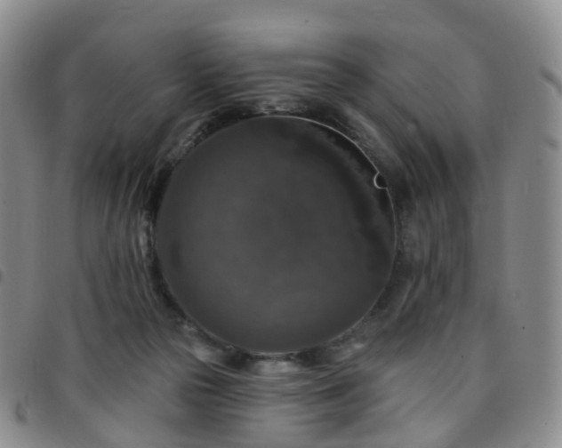 X0000097790169200803141837