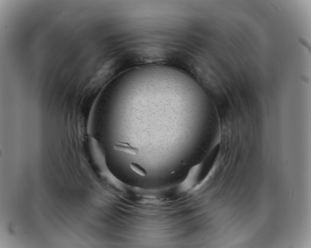 X0000097790170200803141837
