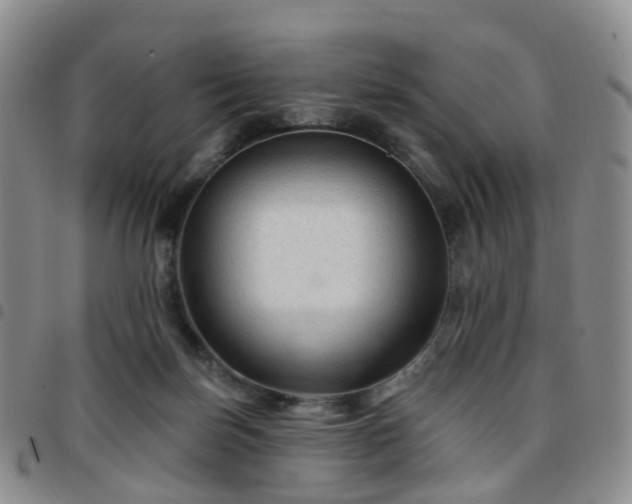 X0000097790171200803141837