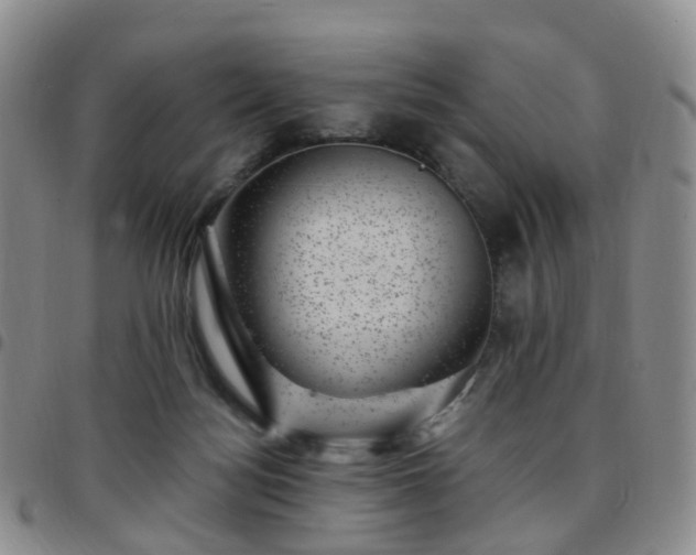 X0000097790172200803141837