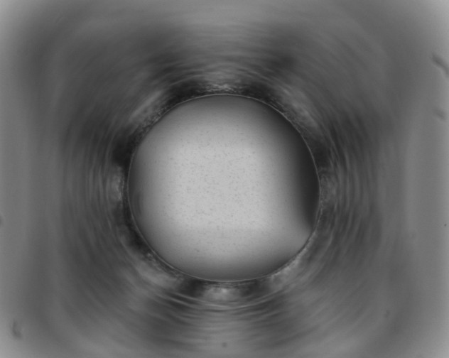 X0000097790174200803141837
