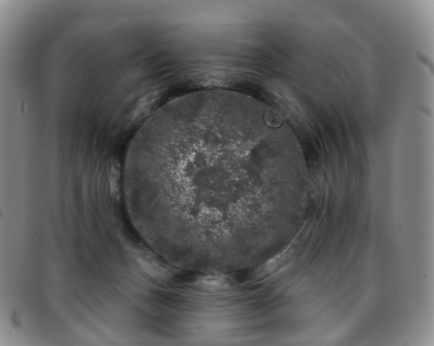 X0000097790175200803141837