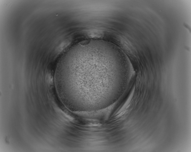 X0000097790176200803141837