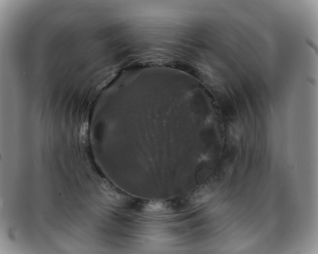X0000097790177200803141837