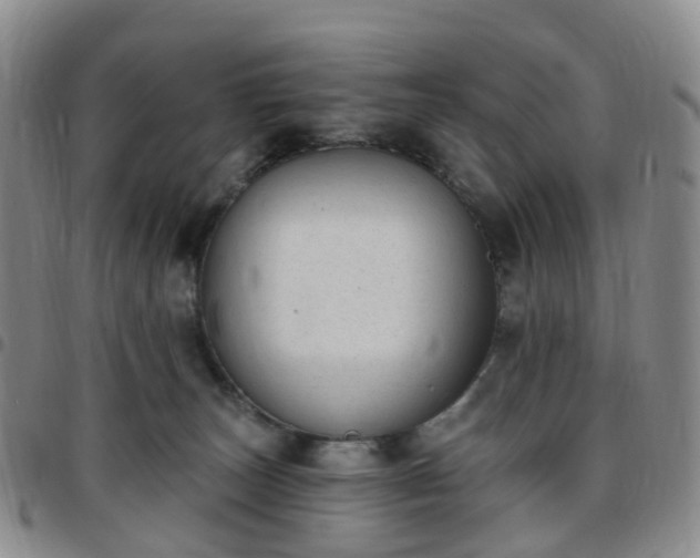 X0000097790179200803141837