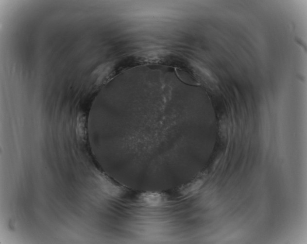X0000097790181200803141837