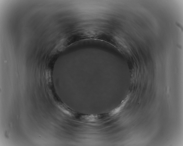 X0000097790182200803141837