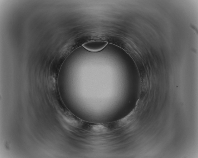 X0000097790183200803141837