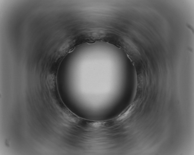 X0000097790184200803141837
