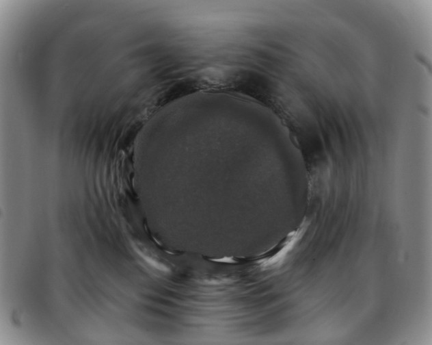 X0000097790186200803141837